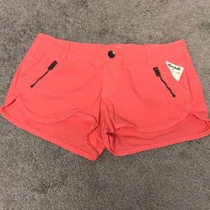 🌟NWT🌟 Hollister shorts